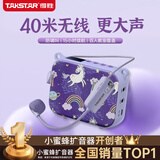 得胜（TAKSTAR）E30W 无线小蜜蜂扩音器教师专用导游喇叭腰挂便携式国风蓝牙小音箱喊话器无线讲课麦克风 梦幻紫