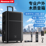 纽曼（Newmine）N528 15寸广场舞蓝牙音箱大功率户外移动便携式拉杆家用K歌大音量无线音响超长续航双麦 15喇叭