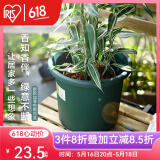 爱丽思（IRIS）Deepot花盆加厚树脂控根圆口绿萝绣球蔷薇月季塑料花盆 9号深绿色(口径约30cm)无盆托