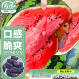 寿禾 西瓜种子苗麒麟8424薄皮大瓜超甜水果种籽 潍丰松脆8424种子40粒