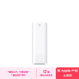 Apple/苹果 USB-C 转 Apple Pencil 转换器 触控笔尖 手写笔尖 苹果笔尖 适用于iPad (第十代) 转接头