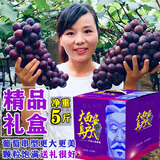 秦人农匠 正宗户太八号【顺丰空运】陕西户县葡萄新鲜沪太8号西安特产礼盒 净重5斤 匠心礼盒装 顺丰空运 户县直发
