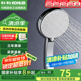 科勒（KOHLER） 淋浴花洒喷头 手持花洒多功能莲蓬头软管滑动杆底座托套餐 K-30251T-CP手持