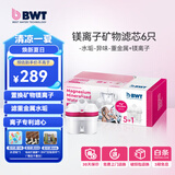 倍世（BWT） 第4代镁离子活力款滤芯 德国技术欧洲原装进口 过滤净水器家用滤水壶净水杯净水壶用 【镁离子】6只装