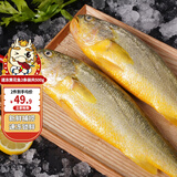 三都港速冻黄花鱼宁德特产大黄鱼新鲜海鲜冷冻水产烹饪食材生鲜鱼类 速冻黄花鱼300g*3条