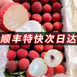桂味荔枝新鲜现摘现发10斤广东增城应季水果当季整箱大果时令鲜果 3斤 【糯米糍】果大肉厚~糯米清香~
