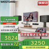 威斯汀（WESTDING）118家庭ktv音响套装点歌机一体KTV唱歌全套设备卡拉OK影院家用智能语音点唱音箱 V09:【五单元】进阶款-10吋三分频