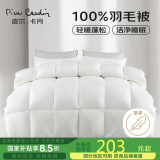 皮尔卡丹 暖绒抗菌 100%羽毛被加厚被子 双人冬被 6斤 200*230cm 白色