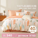 博洋家纺床上用品四件套纯棉被套床单100%棉套件全棉被罩1.5米床