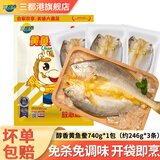 三都港调味醇香黄鱼鲞冷冻新鲜海鱼宁德黄花鱼生鲜鱼类烹饪烧烤夜宵食材 黄鱼鲞净重740g*1包（约246g*3）