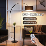 万火落地灯客厅钓鱼灯高级感极简立式台灯床头灯卧室沙发灯复古落地灯