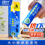 绿叶蟑螂药30克杀蟑螂胶饵灭蟑饵剂杀蛮蠊杀虫剂7104