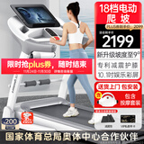 立久佳（lijiujia）跑步机家庭用智能可折叠健身房运动爬坡器材R8 10.1吋彩屏多功能