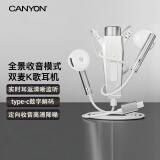 大峡谷（CANYON）有线耳机半入耳式全民k歌带三麦克风通话主播直播录歌唱歌配音游戏适用于苹果vivo华为oppo安卓 K9自带耳返 Type-C数字扁接口
