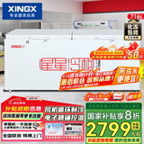 星星（XINGX） 716升 单温大冰柜 卧式双门顶开门 单箱变温冷柜 冷藏冷冻转换柜 BD/BC-716E国家补贴
