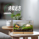 诗和远方苔藓微景观生态瓶办公室内面摆件客厅绿植盆栽生日礼物 诗和远方+礼盒包装+贺卡