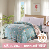 艾薇被套单件被罩纯棉温馨磨毛全棉双人被套220*240cm  清馨花园