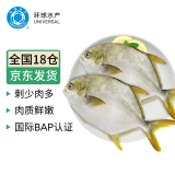 环球水产冷冻南海金鲳鱼2斤/2条 生鲜鱼类 火锅 深海鱼 海鲜水产 家庭聚餐