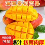 京喜加海南贵妃芒果 新鲜水果甜心芒果热带现摘红金龙芒果整箱水 贵妃两斤装200g+
