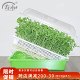 寿禾 芽苗菜盘带盖保温无土栽培水培种植盘 保温育苗盘*1