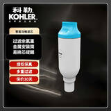 科勒（KOHLER） 尚思新悦2.0智能座便器滤芯1250837仅送货不安 智能马桶滤芯适配于77795/77780