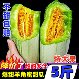 黄六爷山东羊角蜜博洋61香甜瓜新鲜水果5斤当季脆甜网纹哈香蜜瓜包邮箱 【3斤装】普通瓜3-6根丨新鲜超甜