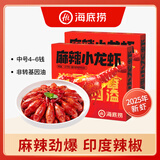 海底捞麻辣蒜蓉小龙虾1.25kg/盒 2025年新虾4-6钱/只净虾800g加热即食 2500g 麻辣 小龙虾（1.25kg*2盒）