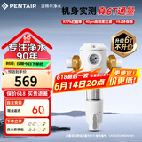 滨特尔（pentair）前置过滤器大通量家用全屋自来水管道40μm过滤器9吨/H大流量水驱涡轮+反冲洗刮洗净水器 【高性价比】6T/H大流量B140