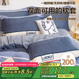 艾薇牛奶绒枕套法兰绒学生宿舍枕头套一个 清风韵律 48*74cm