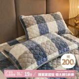 艾薇牛奶绒珊瑚绒枕头套一对枕芯套夹棉枕套 色彩格-蓝 48*74cm