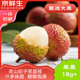 京鲜生广西灵山妃子笑荔枝 净重5斤 单果18g+ 新鲜水果 源头直发包邮