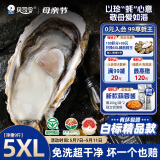 贝司令（BEISILING）【鲜活】乳山生态生蚝牡蛎贝类烧烤源头直发5XL净重9斤 17-19只装