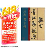 米芾蜀素帖/经典碑帖放大本