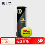 Wilson威尔胜美网联名RD罐装网球 3只装