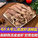 鮨京【渔港直发】皮皮虾鲜活熟冻全母带膏富贵虾冷冻虾爬子肉海鲜水产 大号公皮皮虾 4斤(净重)