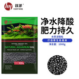 汉洋（ WATERWEEDS INDUSTRY）HANYANG亚马逊水草泥鱼缸底砂水草种子造景装饰套餐水藻泥免洗1L