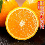 秭嘉鲜[秭归馆]秭归夏橙当季新鲜水果榨汁鲜果现摘现发整箱包邮手剥脐橙 5斤大果【净重5斤】