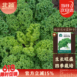 北蔬羽衣甘蓝种子苗食用绿叶菜四季盆栽蔬菜种籽 绿羽衣甘蓝种子200粒