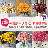 悦多彩优质水养鲜切花 母亲节三八节花束 昆明基地现采直发顺丰生活鲜花 多头玫瑰 5支（ 随机色）