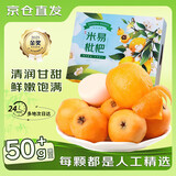 蒲恋四川米易枇杷【多地次日达】水果攀枝花大五星琵琶新鲜水果礼盒装 A+单果30g-40g 树上熟-精品大果 1斤【尝鲜装-运费贵】净0.9斤