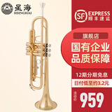 星海（XINGHAI INSTRUMENT）降b调小号乐器 XT-100/120学生考级儿童初学入门款学校乐队通用 入门款YH-521型