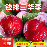 钱排三华李红心李子生鲜水果京东物流包邮 单果 20g+大果送辣椒盐 带箱5斤