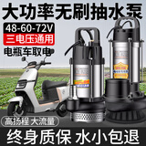 名磊 农用直流水泵电瓶车潜水泵无刷直流电车专用抽水泵家用灌溉水泵  1寸48-60-72V550W7米线