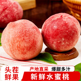 京愿 新鲜水蜜桃 毛桃 脆甜桃子 红不软  当季新鲜孕妇水果生鲜 优选9斤装（净重8.5斤）