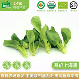 有机汇 有机上海青 新鲜小油菜鸡毛菜宝宝辅食 有机认证无农残 当天采摘 500g