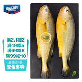 海名威 冷冻黄花鱼700g/2条 宁德大黄鱼地标 海鲜水产 生鲜鱼类 