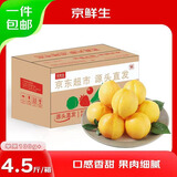 京鲜生山东黄金油桃 净重4.5斤 单果100g+  生鲜水果 源头直发