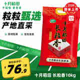 十月稻田  【2024年新米】长粒香大米10kg  东北大米20斤