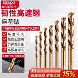 德力西（DELIXI）高硬度麻花钻头不锈钢合金钢铁高速钢打孔DLX-042【1.0mm】