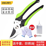 得力（deli）果树剪枝剪刀修枝剪省力剪子园林盆栽花卉园艺修剪树枝剪粗枝 弯嘴果枝剪8“DL2789